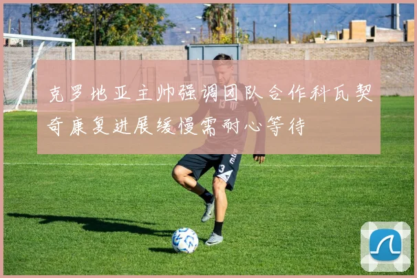 克罗地亚主帅强调团队合作科瓦契奇康复进展缓慢需耐心等待
