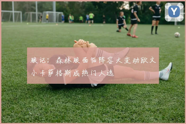 狼记：森林狼面临阵容大变动欧文小卡萨格斯成热门人选